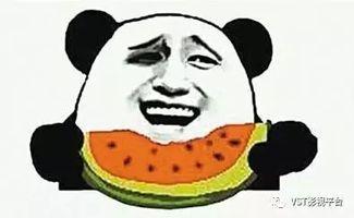 娱乐吃瓜君喷水头飞天,揭秘幕后真相